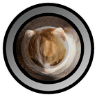 Fisheye Camera Lenses for PC